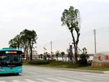 2020年3月13日起，龙港市210路与215路优化延伸啦！