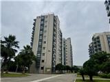 936套！龙港首批国企市场化运营保障性租赁住房上线 最高享40%租金优惠！