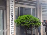 龙港新城开发建设管委会上午挂牌