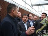 黄荣定来龙港视察设施农业建设工作