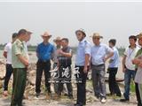 龙港舥艚社区舥艚村金海岸项目顺利进场施工