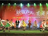 "放歌春天"文化下乡巡演走进云岩社区