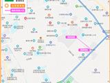 龙港财富夜间公交专线优化调整