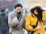 罕见强寒潮来袭 本周末苍南县或有降雪