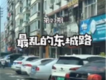 龙港东城路也真乱的，相关部门该联手整治了