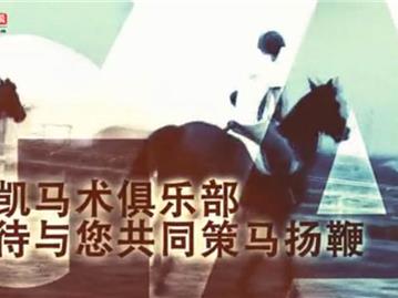 龙港马场乔凯马术俱乐部 休闲新选择