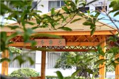 巨人中学与北京华樾教育合作办学签约仪式