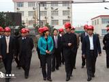河南省济源市市长赵素萍来我镇考察