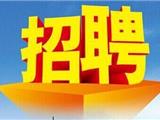 2024年龙港市春季第二期网络招聘会