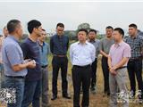 苏庆明来龙港督查农村污水治理设施建设