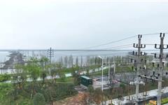 投资757万，改造7.1公里！龙港这片天空即将告别“蜘蛛网”