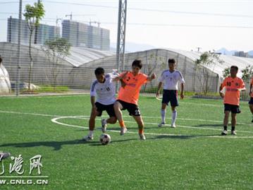 苍南县企业五人制足球赛决赛