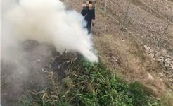 注意！龙港严查这类行为！