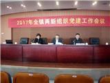 2017年龙港镇两新组织党建工作会议召开