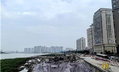 筑牢安全线，绘就新风景！龙港海塘安澜工程全速推进