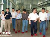 县长黄寿龙来我镇调研