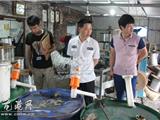 龙港镇深化“两化一网”试点工作 构筑安全生产屏障