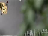 印刷产业创新服务综合体：干在实处显担当 不忘初心砥砺行