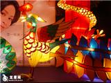 魅力龙港，快乐灯节——彩灯展11