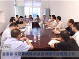 县委副书记林晓峰来我镇调研平安建设夺鼎工作