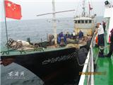 苍南一艘“三无”船涉嫌在禁渔期非法捕捞被查