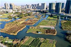 其实你知道吗？春天已经悄悄来临，油菜花都开了。 摄影：池长峰