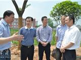 林万乐王忠秀带队考察学习绿化工作