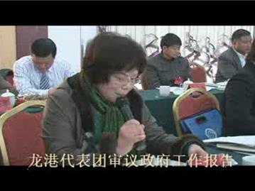 龙港代表团审议政府工作报告1