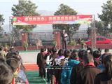 幸福花朵绽放感恩枝头 新学期从感恩开始