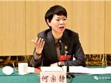 何宗静参加代表团讨论：齐心协力实现龙港新发展