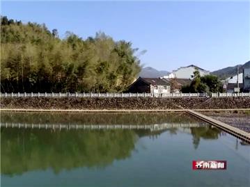苍南：48.8万亩公益林 筑起绿色生态屏障