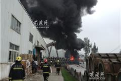 龙港消防中队官兵及时赶到