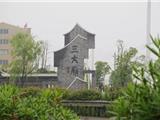 县长郑建忠督查龙港绿野朝阳乡村振兴示范带 这将是龙港颜值高、产业旺的乡村旅游经典线路