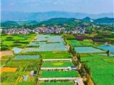 浙江加快构建县域城乡融合发展样板区