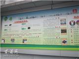 龙港镇加大宣传力度 设置禁毒宣传长廊