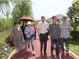 县美丽乡村验收组到龙港进行项目验收工作
