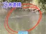 龙港一河道疑似有偷排