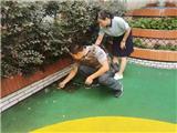 龙港市教育系统切实做好台风"烟花“防御工作