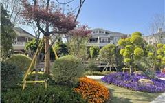 从“边角料”到“幸福角”！龙港方寸绿地兜起满满民生幸福