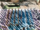 小小国防兵 不忘红色心——记龙港市上佳幼儿园国防教育主题活动