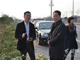 县政协视察组来我镇视察绿化工作