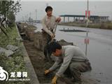 元旦:道路施工加班加点