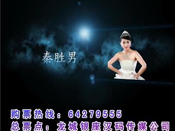 俊伟之夜2012龙港群星演唱会宣传片