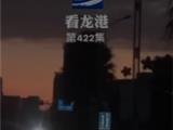 龙港奇葩事，龙港大道路灯全线没电？谁维护的！