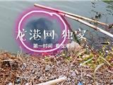 龙港八旬老人去种菜 不慎坠入河中