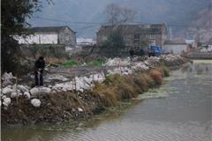 中对口村，一个车俊书记来过点赞的“醉美”村庄。从环境脏、乱、差的落后村蝶变为乡村振兴的样板村，在全域土地综合整治、垃圾分类、居家养老等方面都走在全省前列。中对口村用团结拼搏、开拓创新的改革精神谱写了一部奋发向上的绚丽篇章，如今村庄已然不同往昔，旧砖路、破瓦房都被岁月定格为遥远的记忆，绿水青山民富村强成为主色调，中对口将一幅生态宜居的新时代新农村画卷铺展在世人眼前。