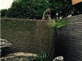 温州一只泼猴私闯民宅 挠人砸花瓶偷菜吃抢钥匙