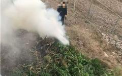 注意！龙港严查这类行为！