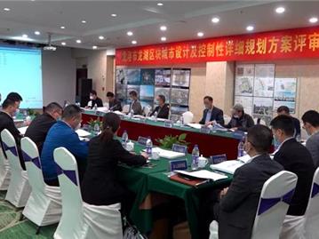 龙港市龙湖区块城市设计及控制性详细规划方案评审会召开