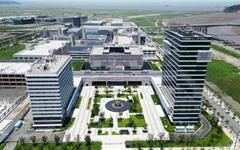 亩均论英雄，空间换效益！龙港“腾笼换鸟”激活城市发展新动能